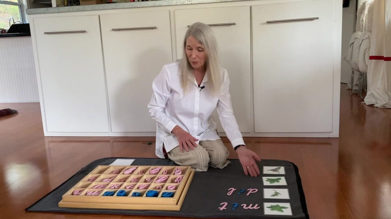 3-Part Cards Moveable Alphabet